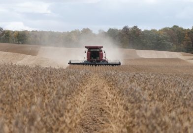 Tariff bills across U.S. states mount as affordability and Trump head for midterm elections