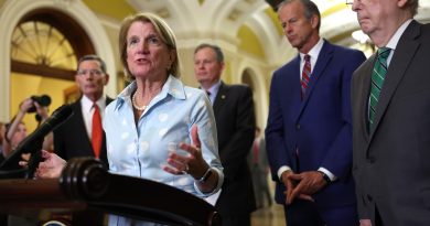 Top permitting-reform Republican, Democratic senators meeting as talks thaw: API chief