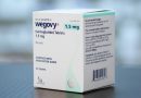 Novo Nordisk’s explosive Wegovy pill launch draws a new wave of patients into GLP-1 weight